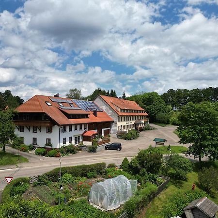 Haus Schlageter Apartamento Dachsberg im Schwarzwald Exterior foto