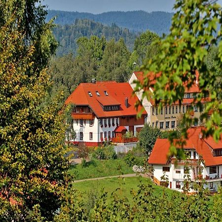 Haus Schlageter Apartamento Dachsberg im Schwarzwald Exterior foto