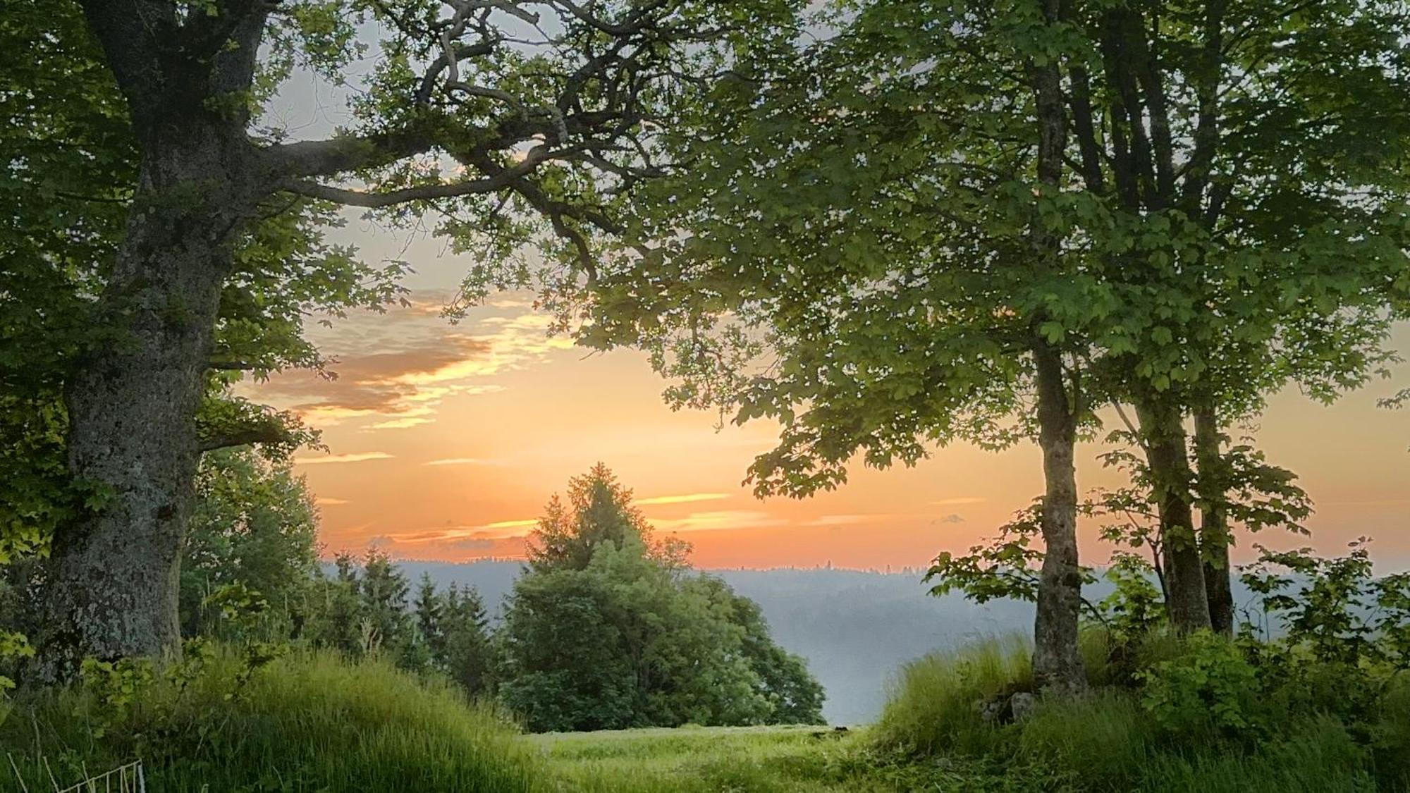 Haus Schlageter Apartamento Dachsberg im Schwarzwald Exterior foto