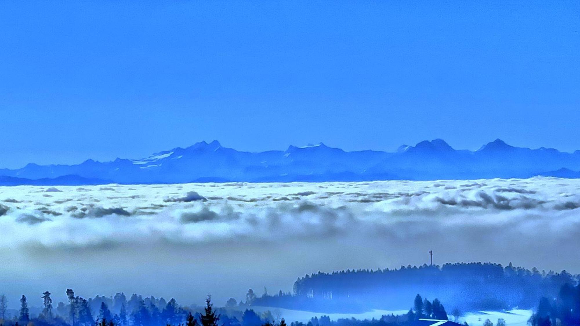 Haus Schlageter Apartamento Dachsberg im Schwarzwald Exterior foto
