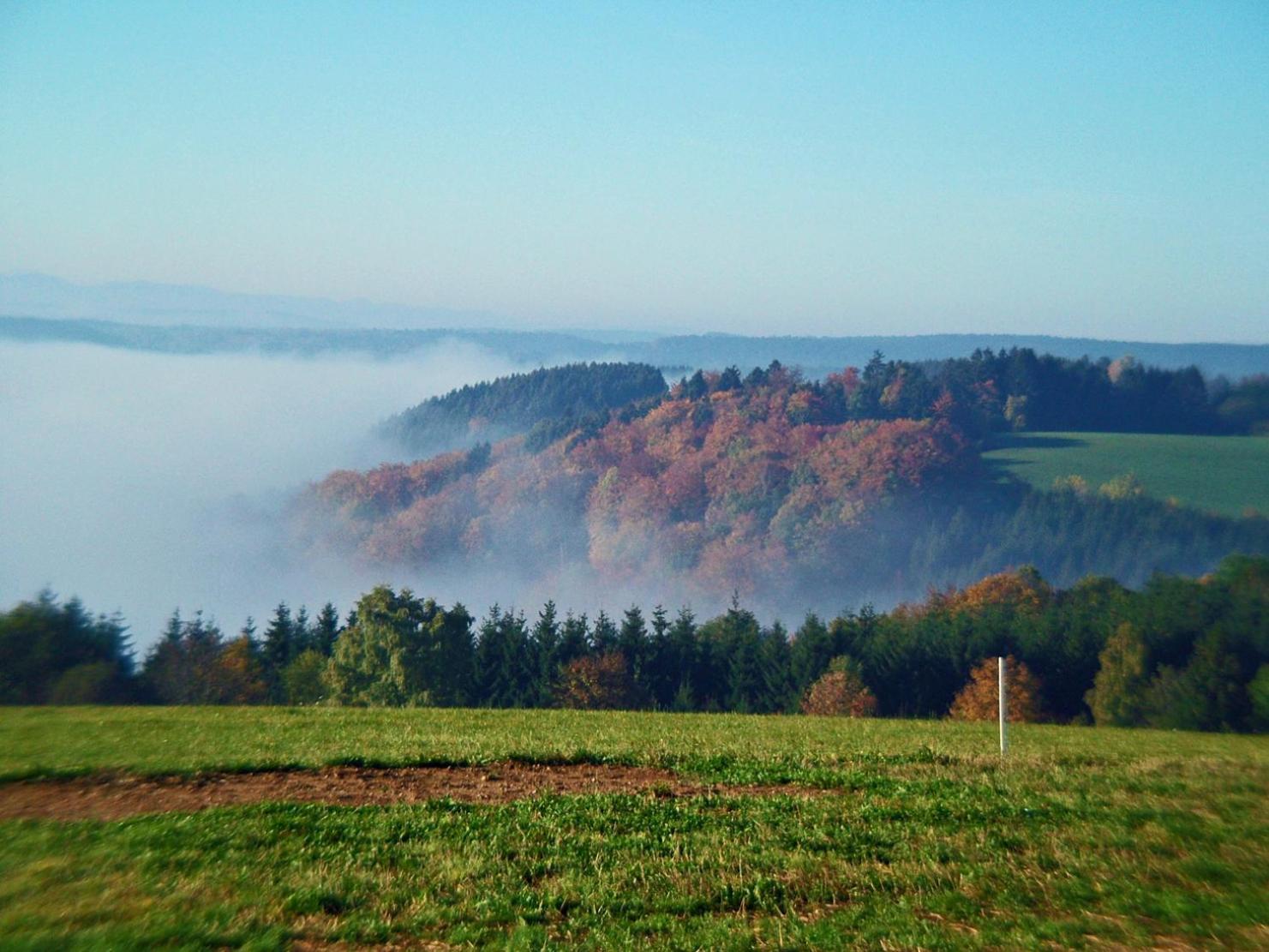 Haus Schlageter Apartamento Dachsberg im Schwarzwald Exterior foto
