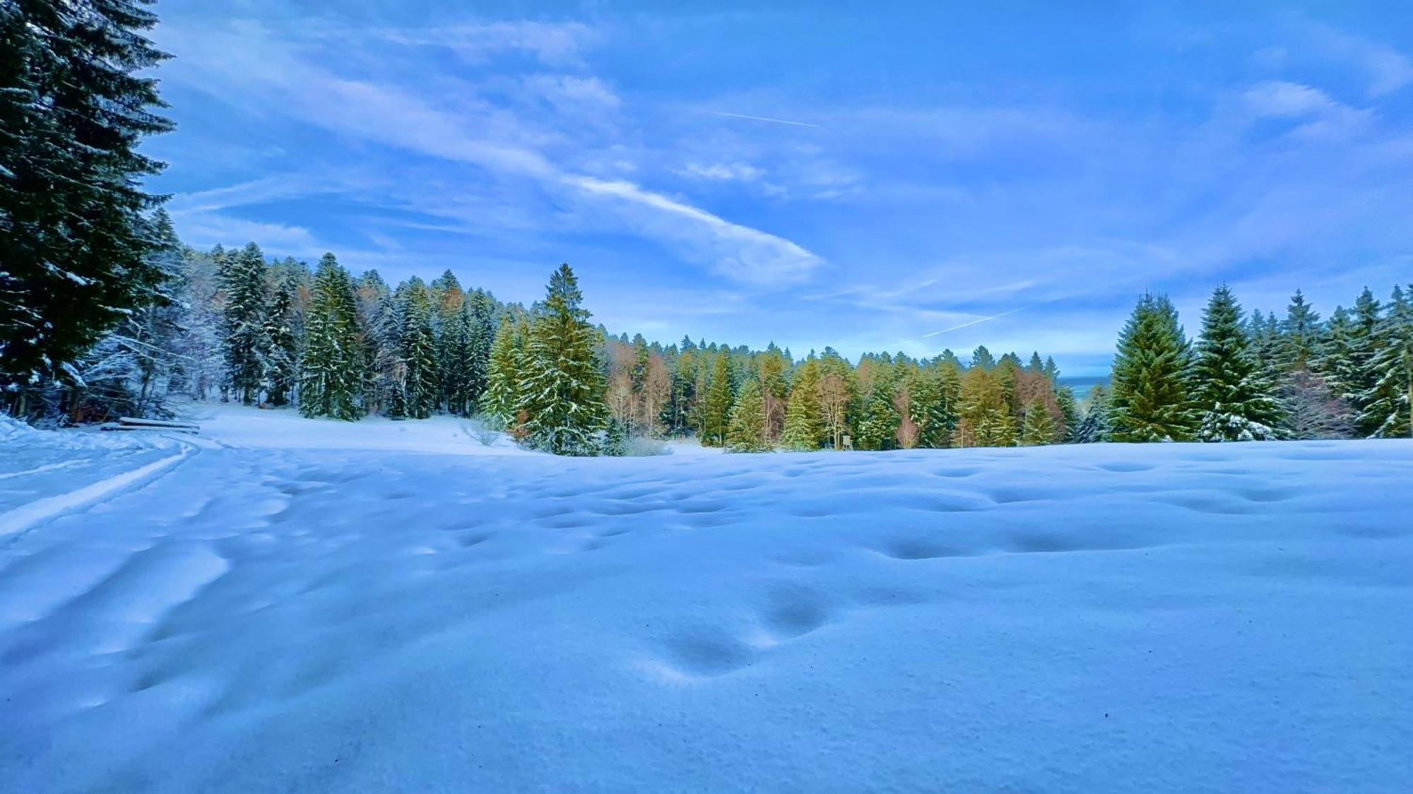 Haus Schlageter Apartamento Dachsberg im Schwarzwald Exterior foto
