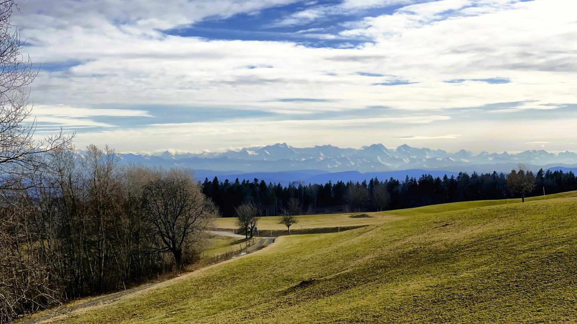 Haus Schlageter Apartamento Dachsberg im Schwarzwald Exterior foto
