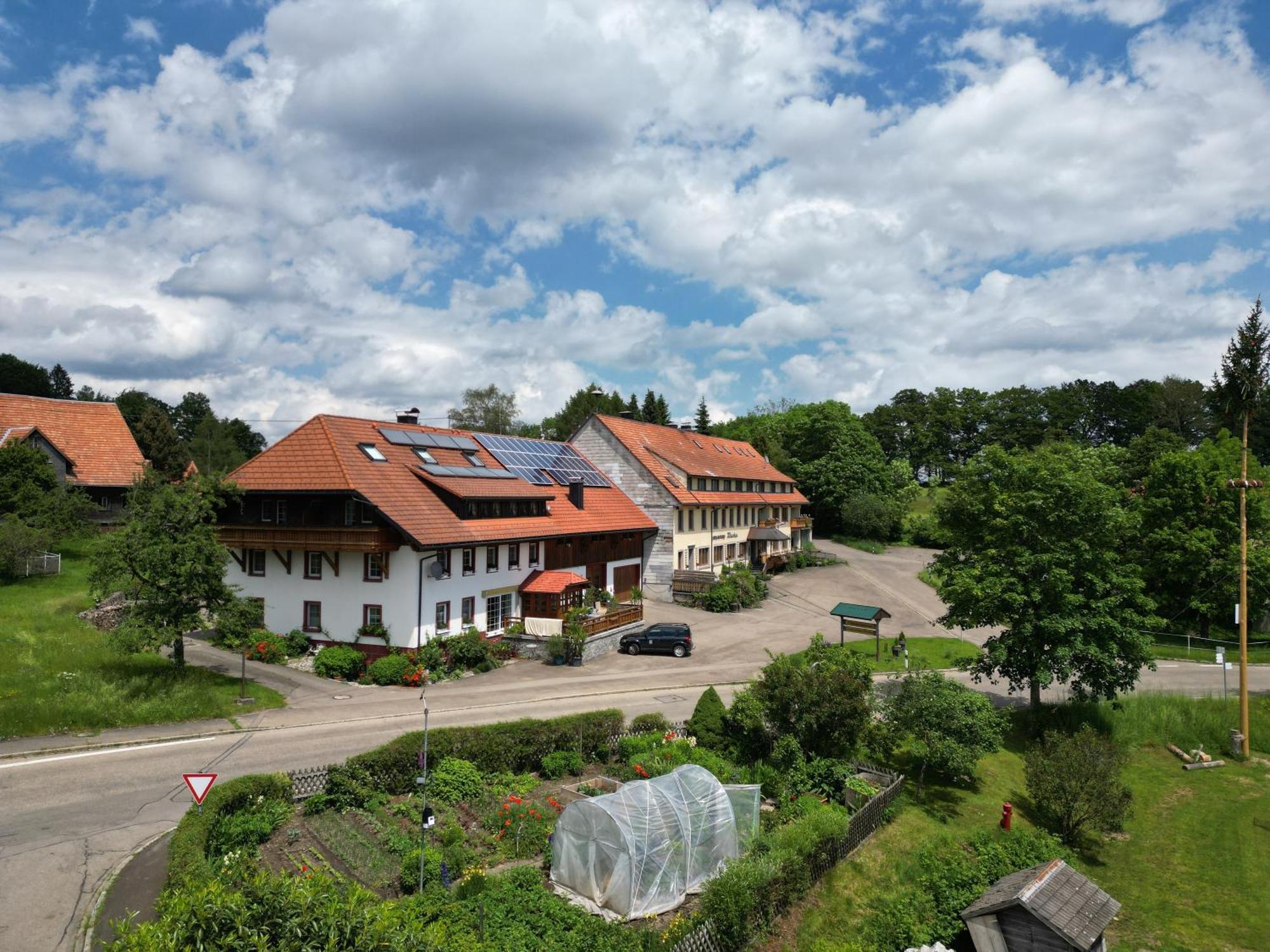 Haus Schlageter Apartamento Dachsberg im Schwarzwald Exterior foto