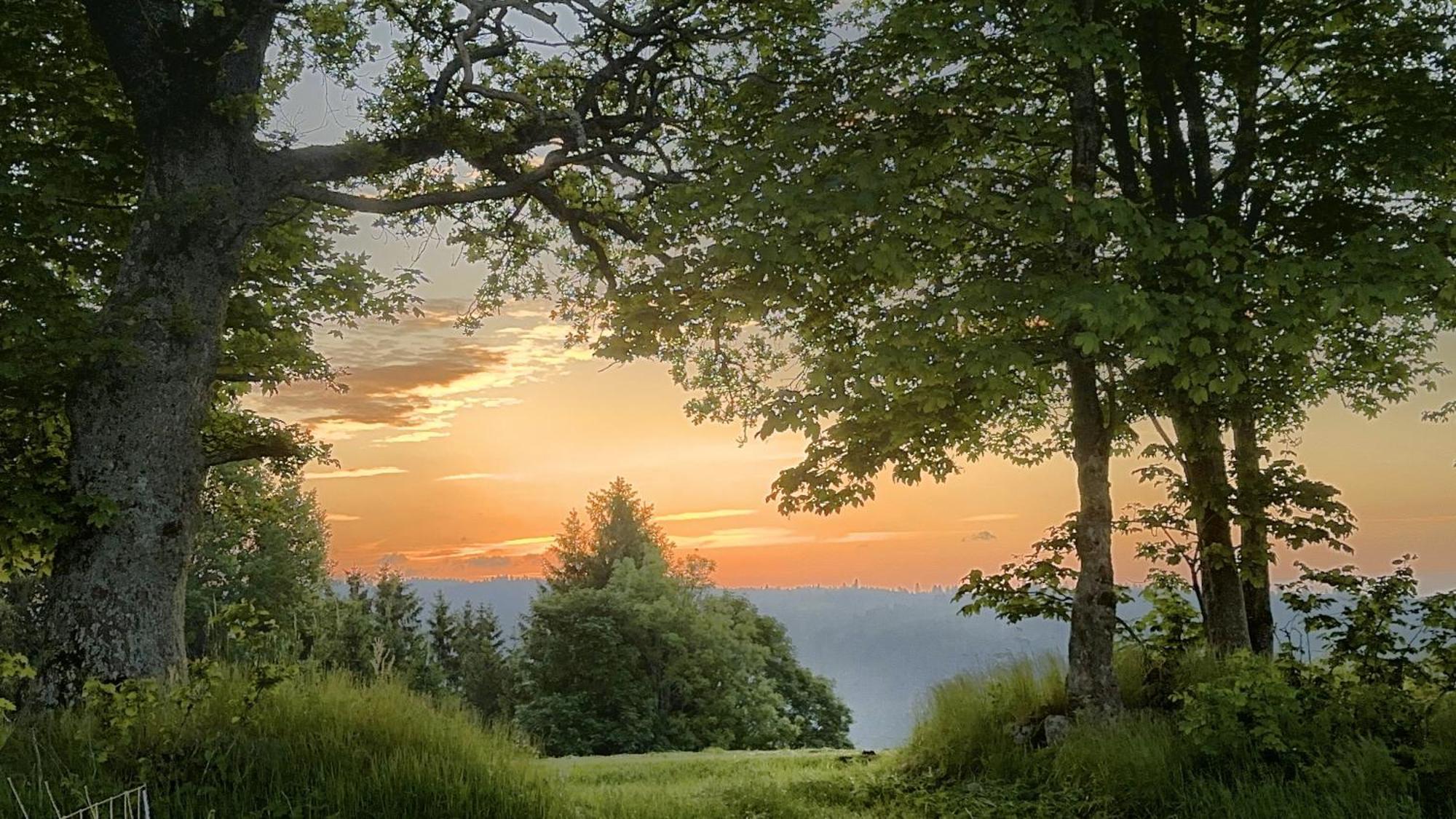 Haus Schlageter Apartamento Dachsberg im Schwarzwald Exterior foto