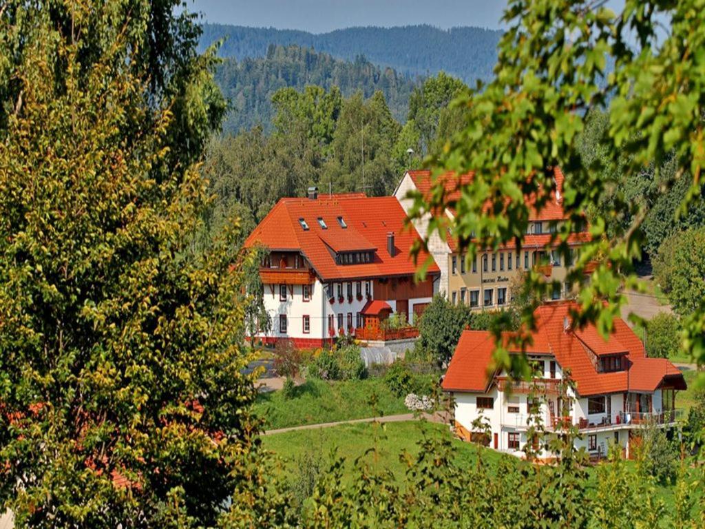 Haus Schlageter Apartamento Dachsberg im Schwarzwald Exterior foto